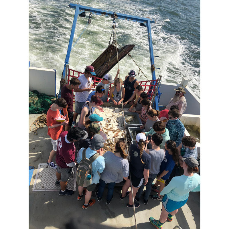 Marine Science Course for High School Students at Dauphin Island Sea Lab