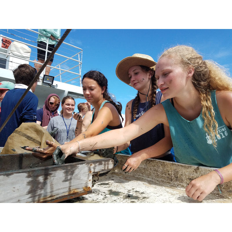 Marine Science Course for High School Students at Dauphin Island Sea Lab