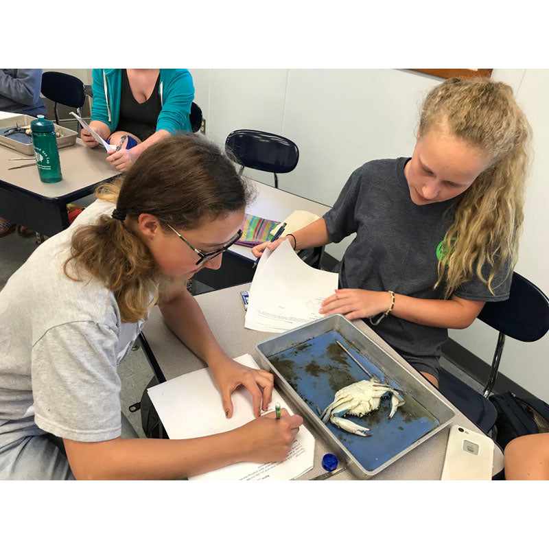 Marine Science Course for High School Students at Dauphin Island Sea Lab