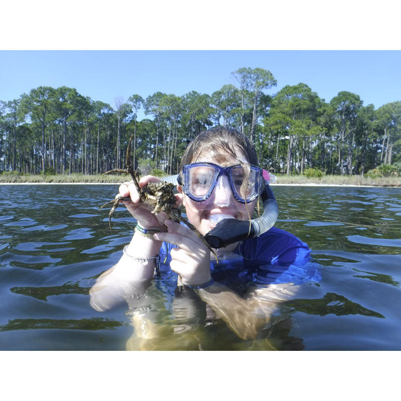 Marine Science Course for High School Students at Dauphin Island Sea Lab